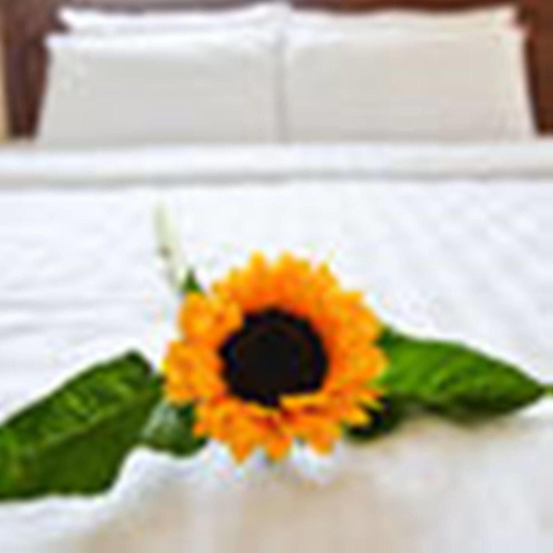 Fulmar Hotel Đà Nẵng Exterior foto